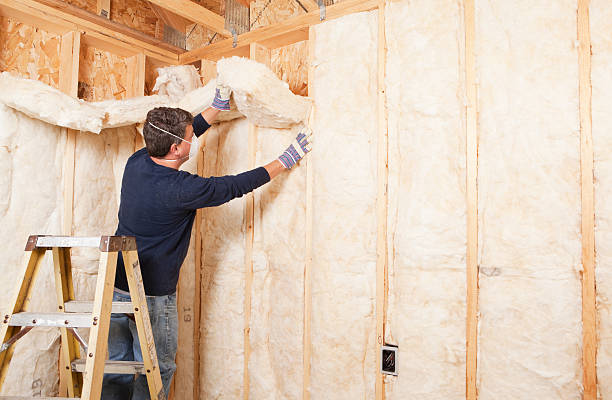 Best Attic Insulation Installation in Day Valley, CA